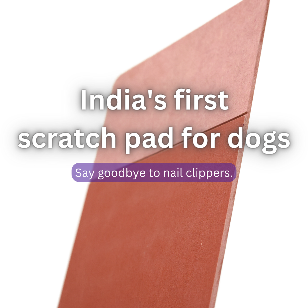 Furry Scratch Pad - Two Sided