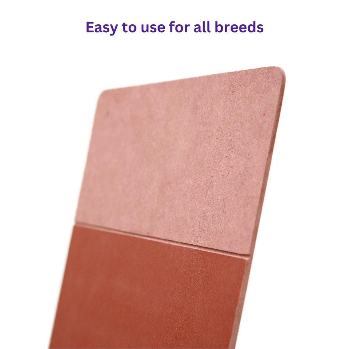Furry Scratch Pad - Two Sided